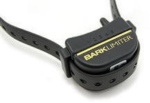 Dog Training: Understanding Dog Barks and How To Deal With It